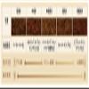 Bonmac 1-2 Cups Unbleached Filter NB-100N 100 Count #816135 view 3