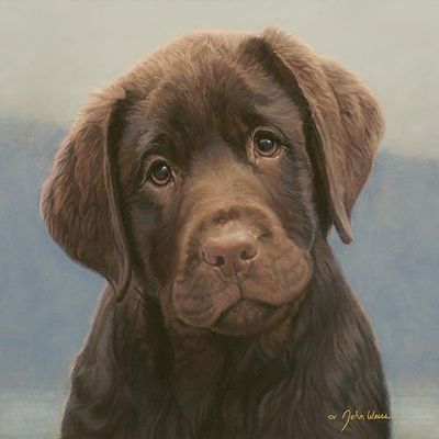 John Weiss - Hot Chocolate
