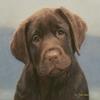 John Weiss - Hot Chocolate view 1
