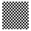 Ambesonne Checkers Game Shower Curtain, Geometric Grid Style Monochrome Squares in Traditional Game Board Design, Cloth Fabric Bathroom Decor Set with Hooks, 69" W x 75" L, White and Black view 2