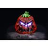 Pumpkin Mister view 1