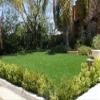 50 lb Bag 12/20 Envirofill Synthetic Turf Infill for Artificial Fake Grass Residential or Commercial Landscape Multi Purpose Applications view 4