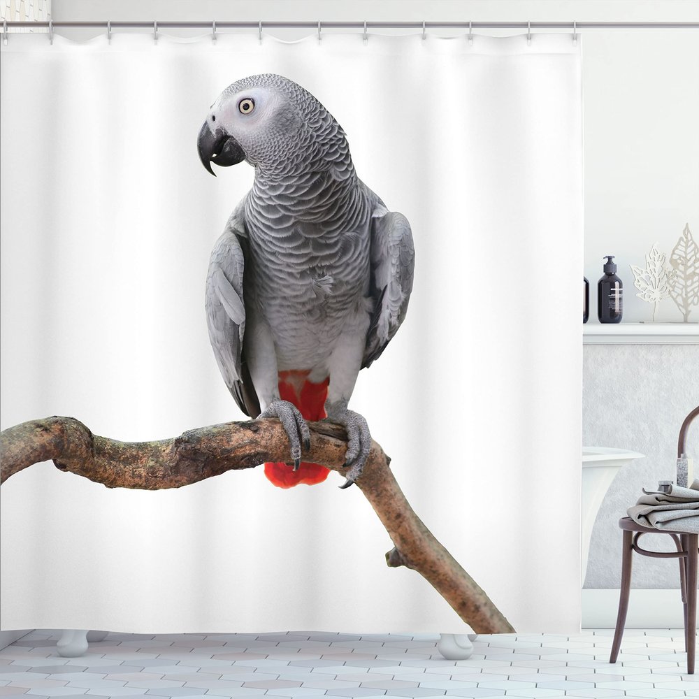 Ambesonne Grey Shower Curtain, Parrot Bird Psittacus Erithacus Standing on a Branch Tropical Nature Wildlife, Cloth Fabric Bathroom Decor Set with Hooks, 69" W x 84" L, White Grey