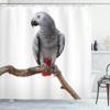 Ambesonne Grey Shower Curtain, Parrot Bird Psittacus Erithacus Standing on a Branch Tropical Nature Wildlife, Cloth Fabric Bathroom Decor Set with Hooks, 69" W x 84" L, White Grey view 1