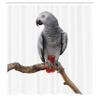 Ambesonne Grey Shower Curtain, Parrot Bird Psittacus Erithacus Standing on a Branch Tropical Nature Wildlife, Cloth Fabric Bathroom Decor Set with Hooks, 69" W x 84" L, White Grey view 2