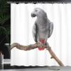Ambesonne Grey Shower Curtain, Parrot Bird Psittacus Erithacus Standing on a Branch Tropical Nature Wildlife, Cloth Fabric Bathroom Decor Set with Hooks, 69" W x 84" L, White Grey view 3
