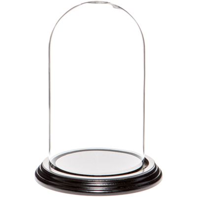 Plymor 4" x 7" Small Glass Display Dome Cloche (Black Wood Veneer Base)
