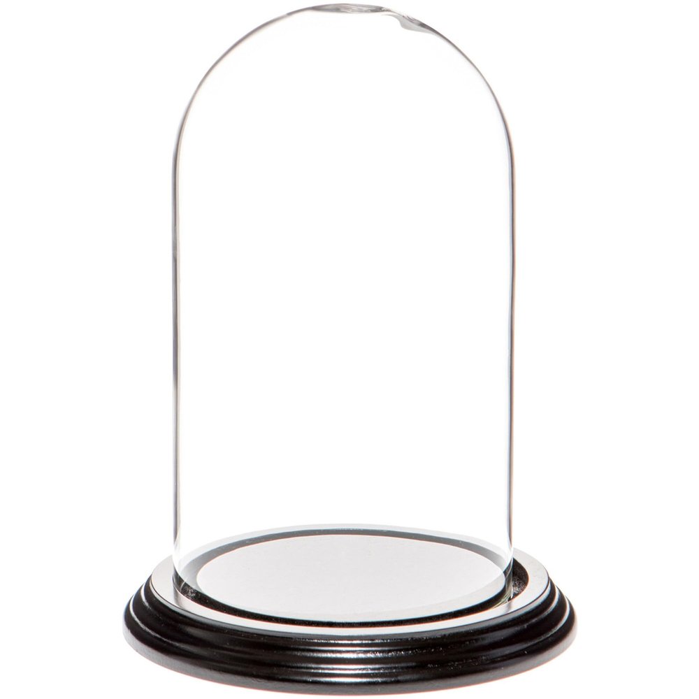 Plymor 4" x 7" Small Glass Display Dome Cloche (Black Wood Veneer Base)