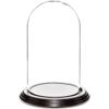 Plymor 4" x 7" Small Glass Display Dome Cloche (Black Wood Veneer Base) view 1