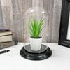 Plymor 4" x 7" Small Glass Display Dome Cloche (Black Wood Veneer Base) view 4