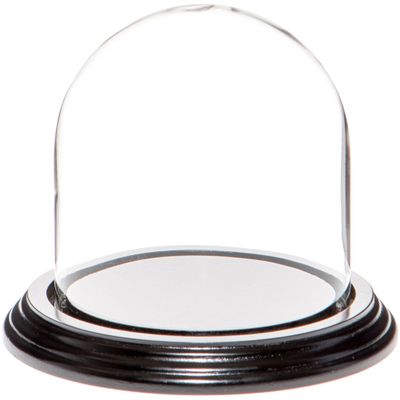 Plymor 4" x 4" Glass Display Dome Cloche (Black Wood Veneer Base)