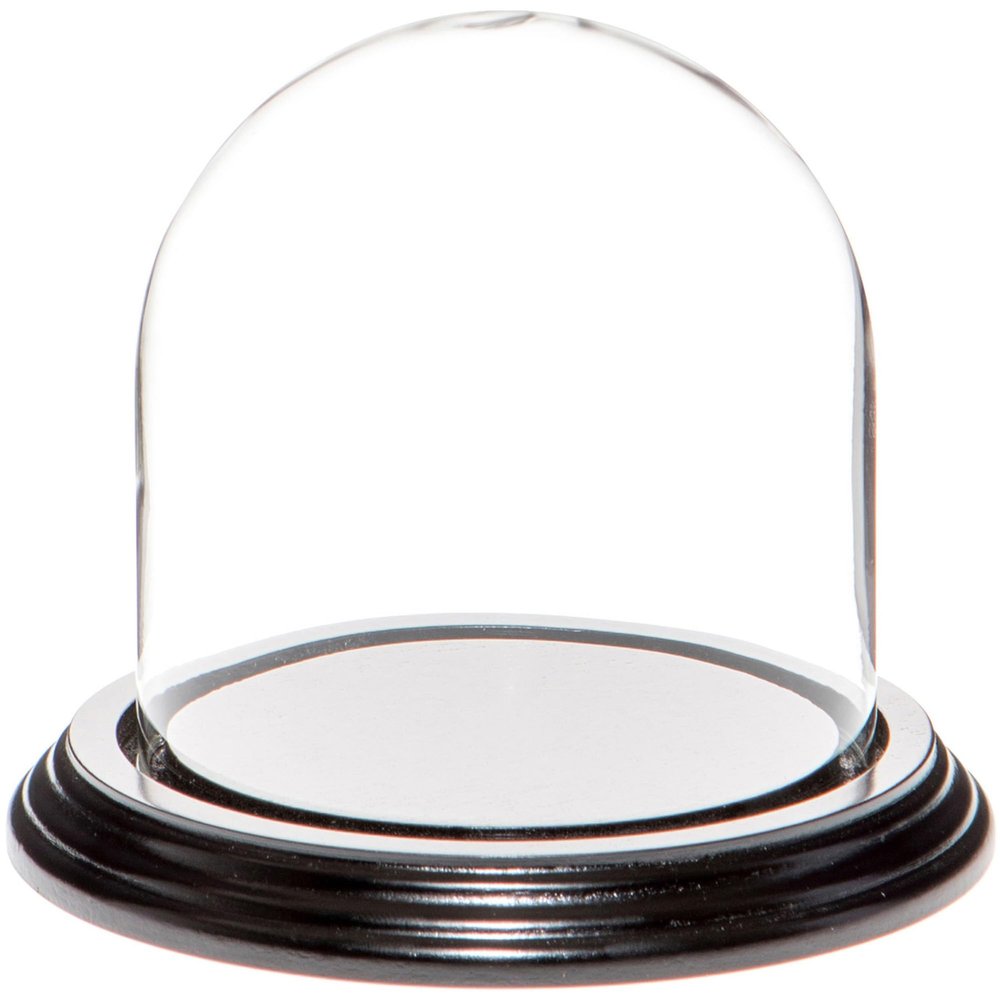 Plymor 4" x 4" Glass Display Dome Cloche (Black Wood Veneer Base)