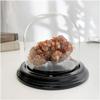 Plymor 4" x 4" Glass Display Dome Cloche (Black Wood Veneer Base) view 2