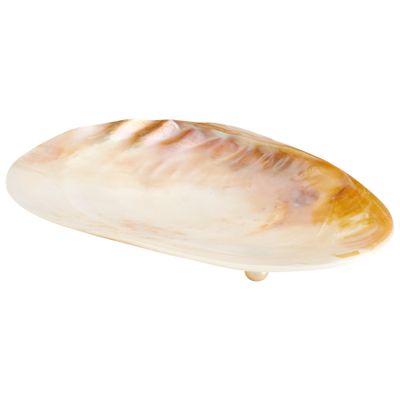 Cyan Design Small Abalone Containers & Trays