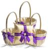 Alex Emotions Gold & Purple Jewel Wedding Ring Bearer Pillow and Flower Girl Basket Set  Satin & Ribbons  Pairs Well with Most Dresses & Themes  Splendour Every Wedding Deserves view 1