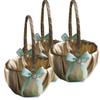 Alex Emotions Gold & Mint Wedding Ring Bearer Pillow and Flower Girl Basket Set  Satin & Ribbons  Pairs Well with Most Dresses & Themes  Splendour Every Wedding Deserves view 1