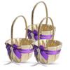 Alex Emotions Gold & Purple Jewel Wedding Ring Bearer Pillow and Flower Girl Basket Set  Satin & Ribbons  Pairs Well with Most Dresses & Themes  Splendour Every Wedding Deserves view 1