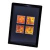 3D Nature 2 (Rare) 4-up 2-Channel Hologram Picture (Framed), Collectible Photopolymer Film view 3