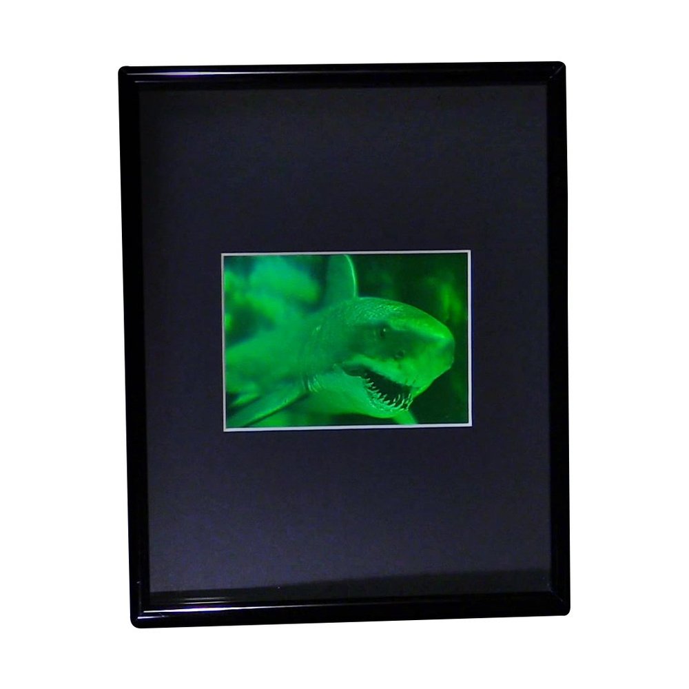 3D Shark (Great White) 2-Channel Hologram Picture (Framed), Collectible Photopolymer Film