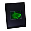 3D Shark (Great White) 2-Channel Hologram Picture (Framed), Collectible Photopolymer Film view 2