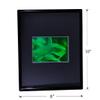 3D Shark (Great White) 2-Channel Hologram Picture (Framed), Collectible Photopolymer Film view 4