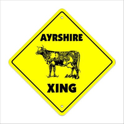 Ayrshire Crossing Sign Zone Xing | Indoor/Outdoor | 20" Tall Cow Dunlop cunninghame Cattle Ranch
