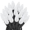 Novelty Lights 24FT 70 LED C6 Permanent Christmas Lights, Commercial Grade LED String Lights (Pure White) view 1