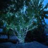 Novelty Lights 24FT 70 LED C6 Permanent Christmas Lights, Commercial Grade LED String Lights (Pure White) view 3