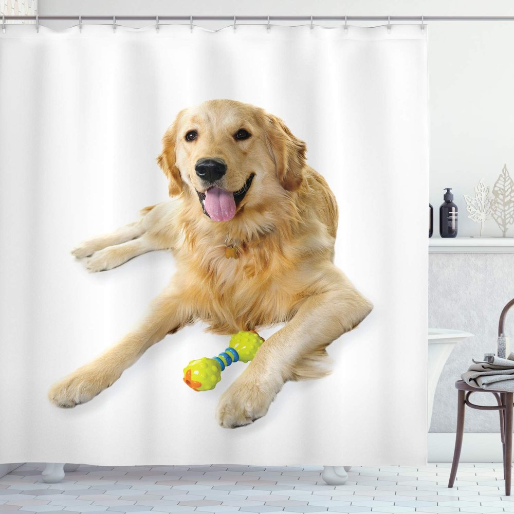 Ambesonne Golden Retriever Shower Curtain, A Photo of Happy Dog Laying Down The Ground on Plain Backdrop Print, Cloth Fabric Bathroom Decor Set with Hooks, 69" W x 75" L, Pale Brown White