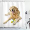 Ambesonne Golden Retriever Shower Curtain, A Photo of Happy Dog Laying Down The Ground on Plain Backdrop Print, Cloth Fabric Bathroom Decor Set with Hooks, 69" W x 75" L, Pale Brown White view 1