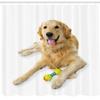 Ambesonne Golden Retriever Shower Curtain, A Photo of Happy Dog Laying Down The Ground on Plain Backdrop Print, Cloth Fabric Bathroom Decor Set with Hooks, 69" W x 75" L, Pale Brown White view 2