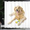 Ambesonne Golden Retriever Shower Curtain, A Photo of Happy Dog Laying Down The Ground on Plain Backdrop Print, Cloth Fabric Bathroom Decor Set with Hooks, 69" W x 75" L, Pale Brown White view 3