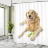 Ambesonne Golden Retriever Shower Curtain, A Photo of Happy Dog Laying Down The Ground on Plain Backdrop Print, Cloth Fabric Bathroom Decor Set with Hooks, 69" W x 75" L, Pale Brown White view 4