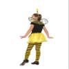 Bumblebee Kit view 2