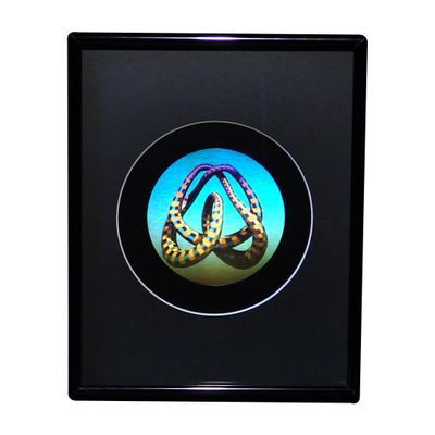 3D Mobius Loop Color Tuned Hologram Picture (Framed), Collectible Embossed Type Animated Stereogram