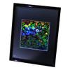 3D Letters Hologram Picture (Framed), Collectible Embossed Type Film view 3