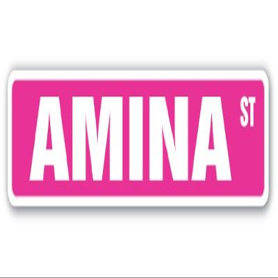 Amina Street Sign Childrens Name Room Sign | Indoor/Outdoor | 24" Wide