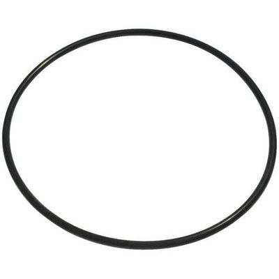 Dayton O-Ring,NBR PPTLSP005G - 1 Each