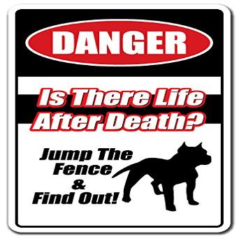is There Life After Death? Jump Fence & FIND Out Sign Dog Pitbull | Indoor/Outdoor | 20" Tall