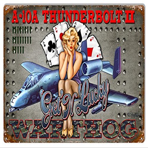 Airplane Get N Lucky Pin Up Girl Sign By Steve McDonald 12x18