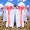 VDS Satin Chair Sashes Chair Cover Back Tie Sateen Bows Ribbon for Wedding Birthday Graduation Engagement Ceremony Event Party Banquet Venue Hotel All Dining Chair Decoration (100PC) (Coral) view 2