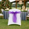 Elegant Organza Chair Sashes Sheer Fabric Sashes for Weddings, Parties, and Special Events (Pack of 10 Pieces, Purple) view 2