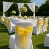 Elegant Organza Chair Sashes Sheer Fabric Sashes for Weddings, Parties, and Special Events (Pack of 10 Pieces, Yellow) view 2