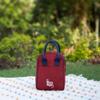 Eco Right Insulated Lunch Bag Women, Work Lunch Box for Men, Adults view 3
