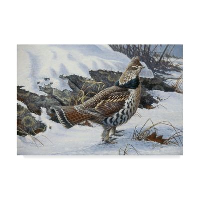 Ruffed Grouse by Wilhelm Goebel, 16x24-Inch