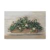 Market Geraniums Crop by Carol Rowan, 16x24-Inch view 1