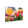 Tulip Sonata by Beata Czyzowska Young, 16x24-Inch view 2