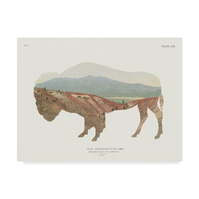 American Southwest Buffalo by Wild Apple Portfolio, 14x19-Inch