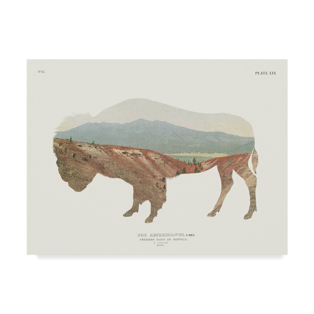 American Southwest Buffalo by Wild Apple Portfolio, 14x19-Inch