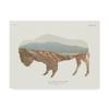 American Southwest Buffalo by Wild Apple Portfolio, 14x19-Inch view 1